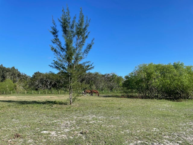 5 of 7 - 12398 Tangerine Boulevard, West Palm Beach, FL