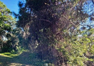 Photo of Listing #RX-11107476