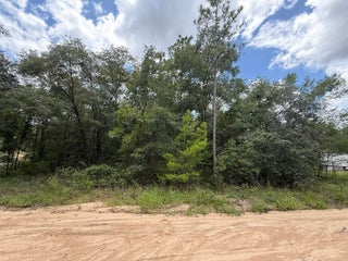 Photo of Listing #RX-11108675