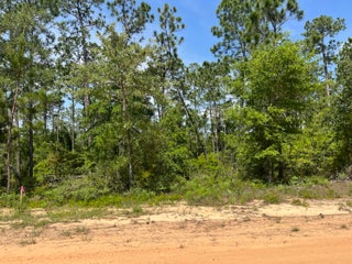 Photo of Listing #RX-11109182