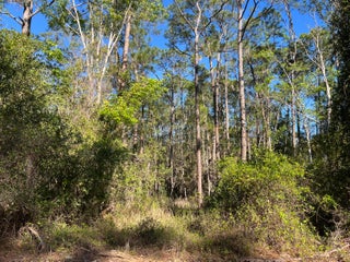 Photo of Listing #RX-11109198