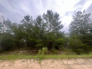 Photo of Listing #RX-11109201