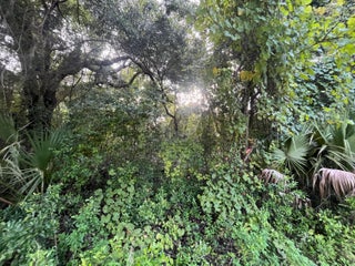 Photo of Listing #RX-11109212