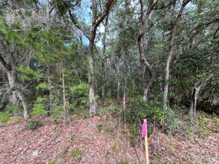 Photo of Listing #RX-11109214