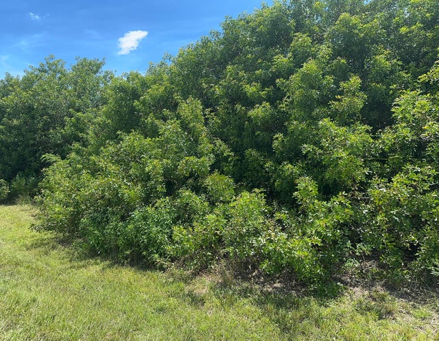 1 of 2 - Sw Village Sw Parkway Sw, Port Saint Lucie, FL