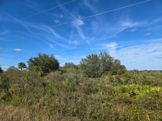 Photo of Listing #RX-11110368