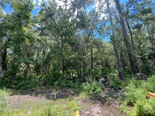 Photo of Listing #RX-11110440