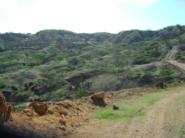 3 of 16 - 00000 Falcon Canyons, Out of Country, Out of Country