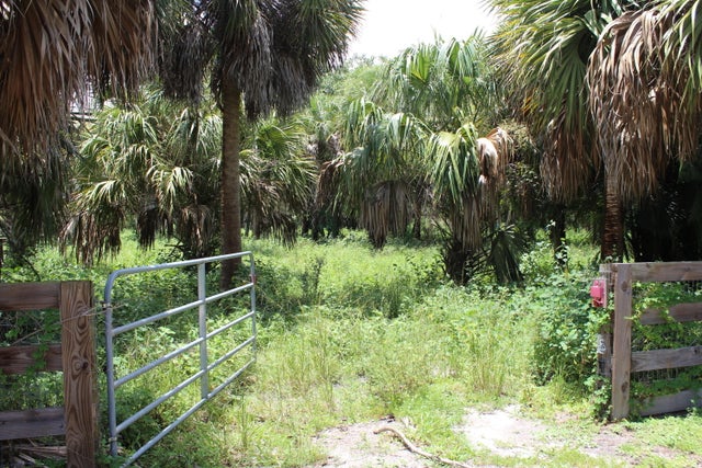 5 of 15 - 1275 Arabian Drive, Loxahatchee, FL