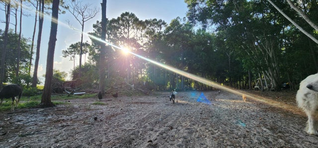 3 of 15 - 3335 Dellwood Road, Loxahatchee, FL
