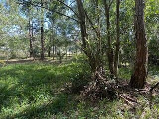 Photo of Listing #RX-11112581