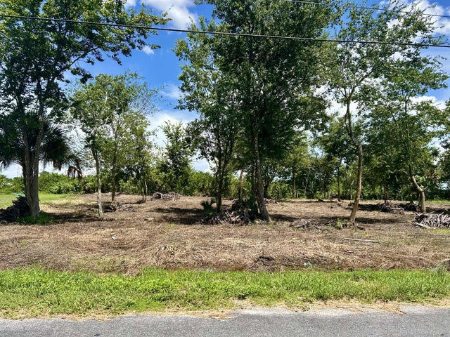 1 of 3 - Lot 16 Foxmoor Street, Moore Haven, FL