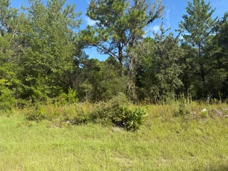 Photo of Listing #RX-11116124