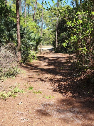 Photo of Listing #RX-11120114