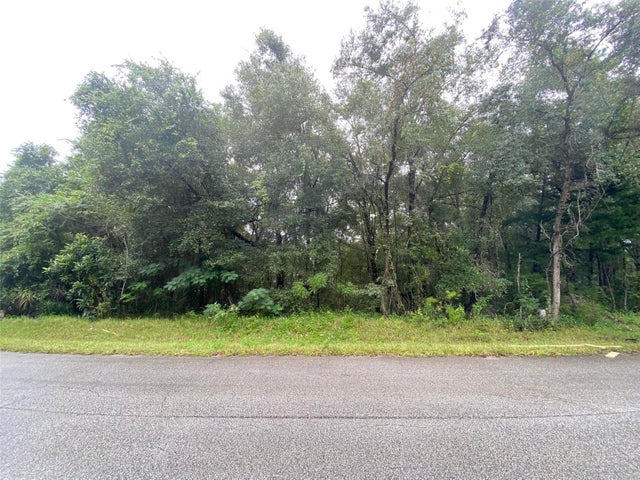 1 of 19 - 425 E Elgrove Drive, Citrus Springs, FL