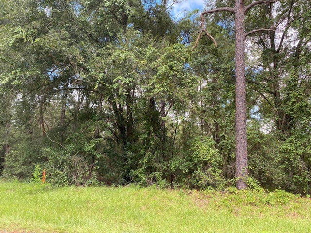 3 of 19 - 425 E Elgrove Drive, Citrus Springs, FL