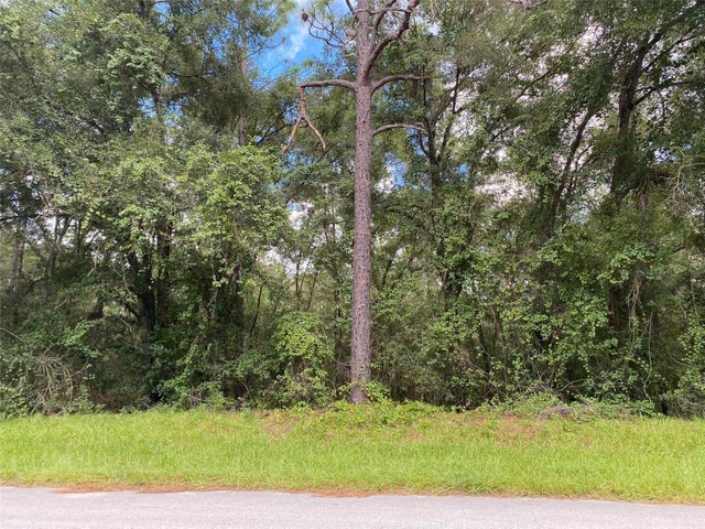 4 of 19 - 425 E Elgrove Drive, Citrus Springs, FL
