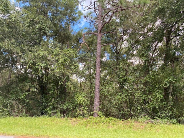 5 of 19 - 425 E Elgrove Drive, Citrus Springs, FL