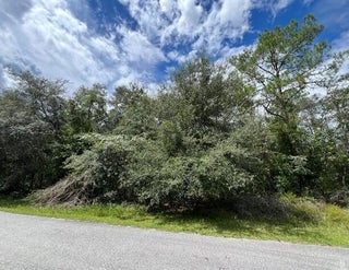 Photo of Listing #RX-11121942