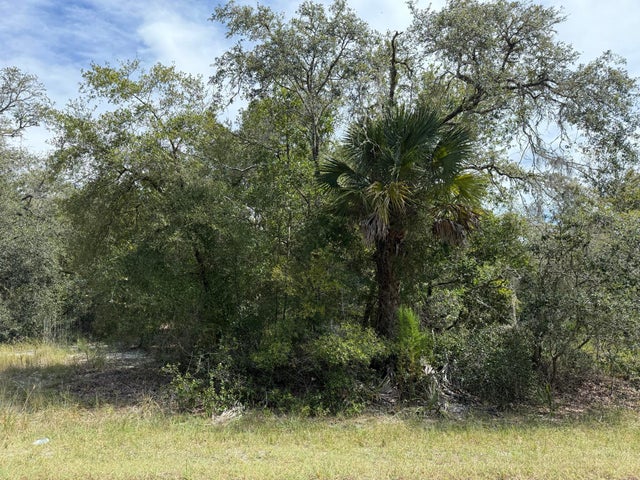 1 of 17 - 9793 N Alder Avenue, Crystal River, FL
