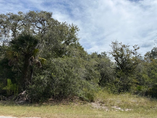 5 of 17 - 9793 N Alder Avenue, Crystal River, FL