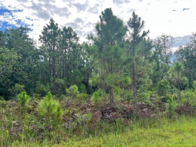1 of 13 - 1131 Greenfield Street, Lake Placid, FL