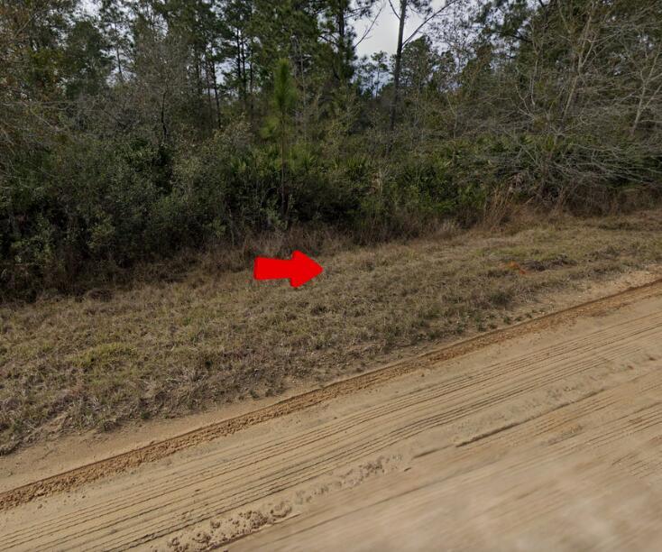 001 Creager, Interlachen