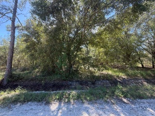 Photo of Listing #RX-11124056