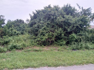Photo of Listing #RX-11124775