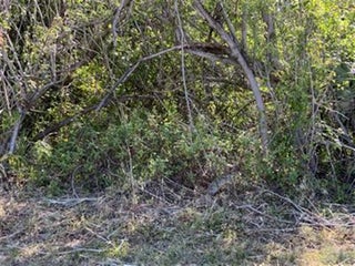 Photo of Listing #RX-11129442