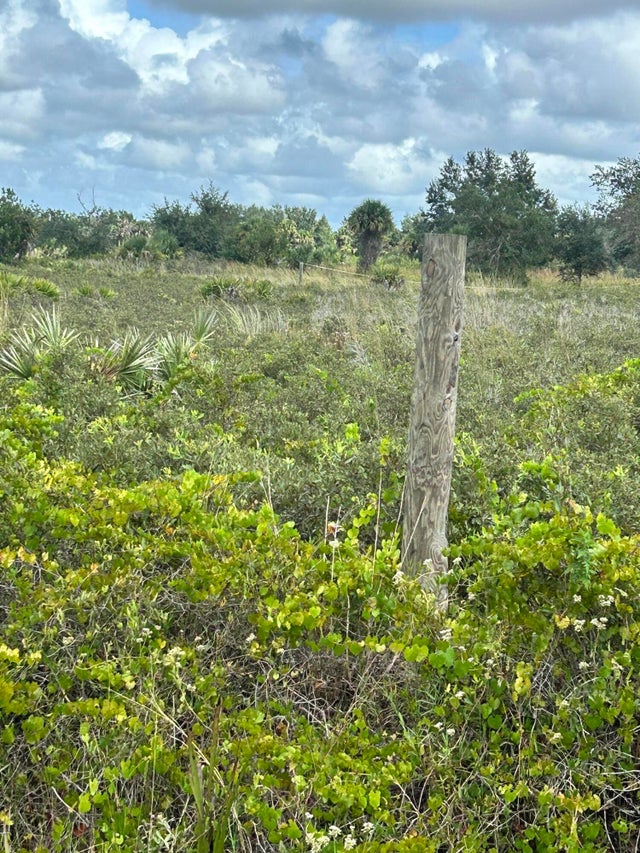 4 of 6 - 19933 Nw 276th Street, Okeechobee, FL