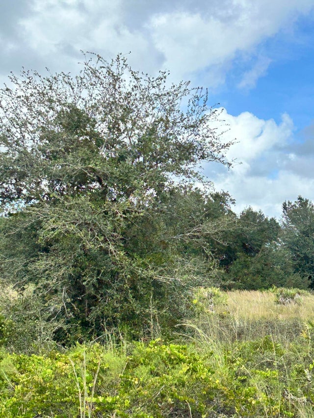 5 of 6 - 19933 Nw 276th Street, Okeechobee, FL