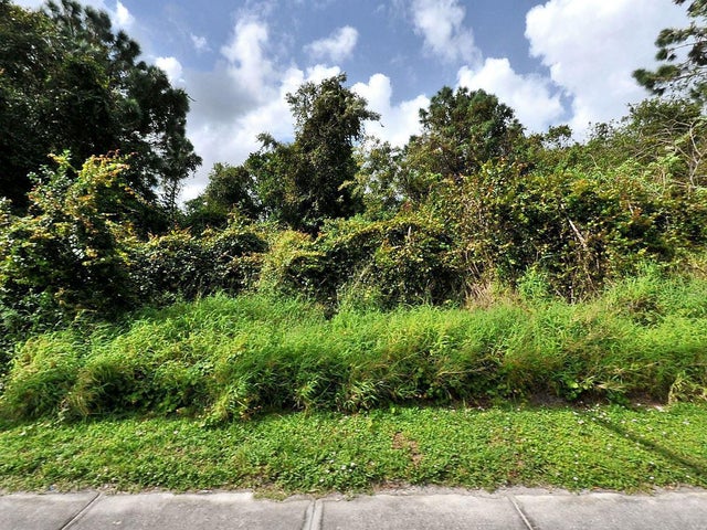 Photo of Listing #RX-11131074