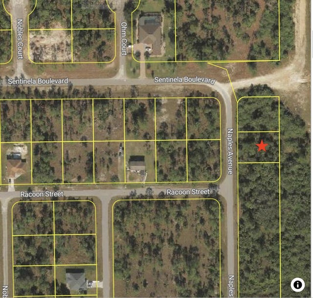 1 of 2 - 121 Naples Avenue S, Lehigh Acres, FL
