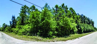 Photo of Listing #RX-11132955