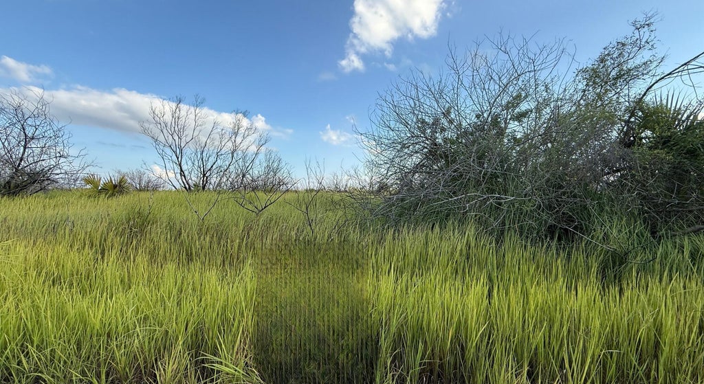 1510 Briscoe Circle Sw, Palm Bay