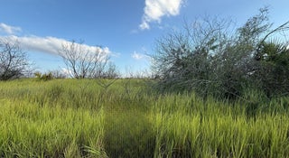 Photo of Listing #RX-11134765