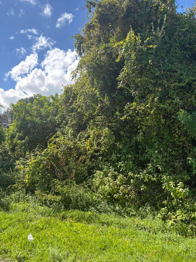 Photo of Listing #RX-11135009