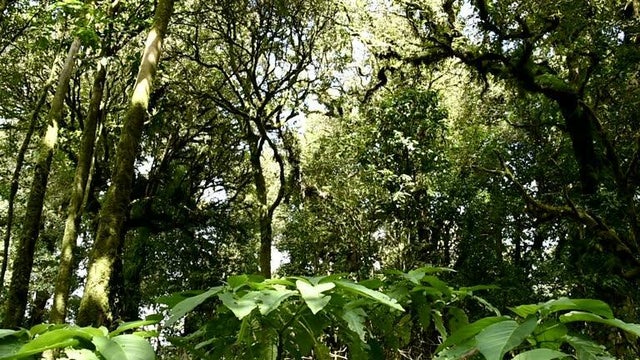 Photo of Listing #RX-11135877