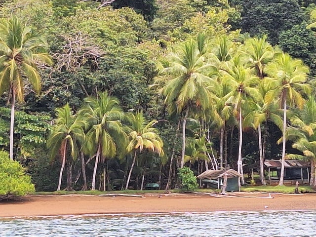 3 of 12 - 10848 Blue Sky Of The Tropic S.a., Osa, Costa Rica