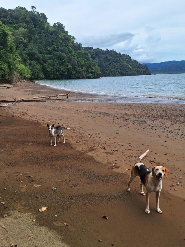 5 of 12 - 10848 Blue Sky Of The Tropic S.a., Osa, Costa Rica