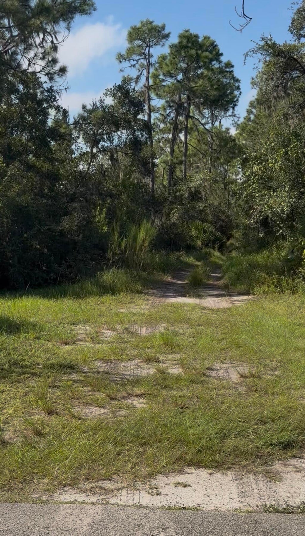 1503 Rutledge Avenue, Lake Placid