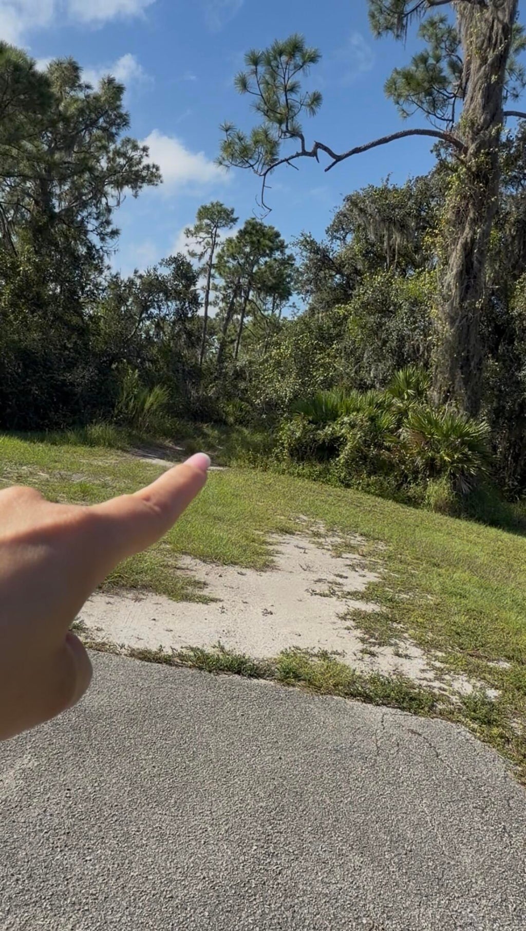 1505 Rutledge Avenue, Lake Placid