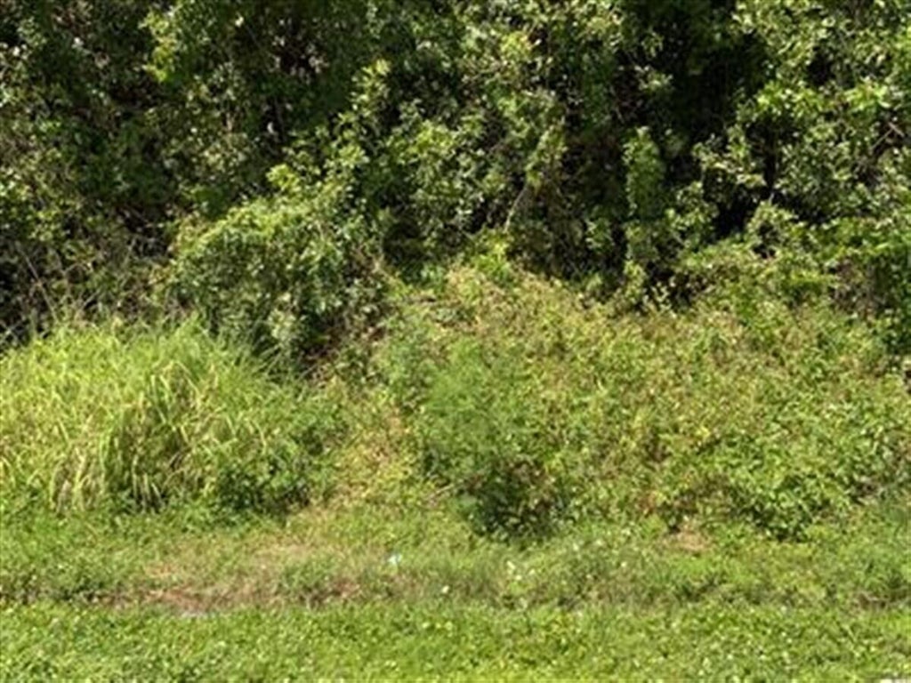 3874 Sw Kasin St, Port Saint Lucie