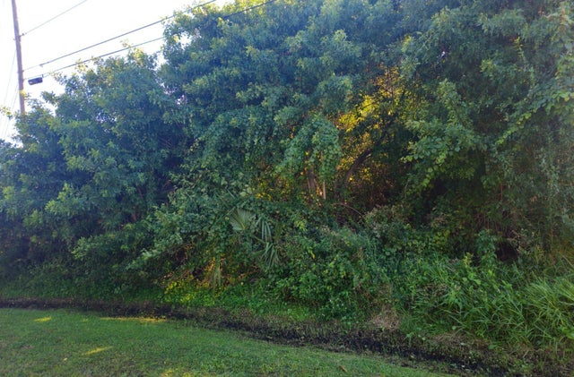 Photo of Listing #RX-11140836