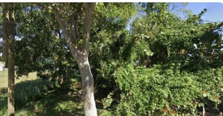 Photo of Listing #RX-11160263