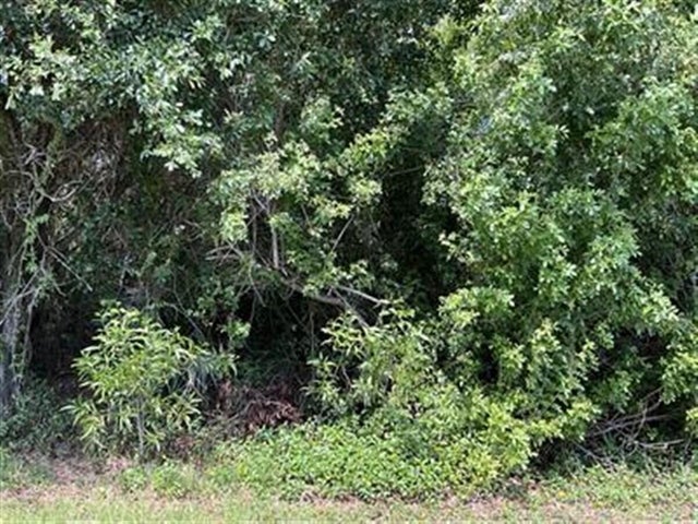 Photo of Listing #RX-11162082