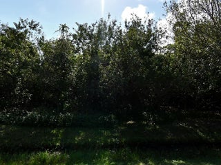 Photo of Listing #RX-11163080