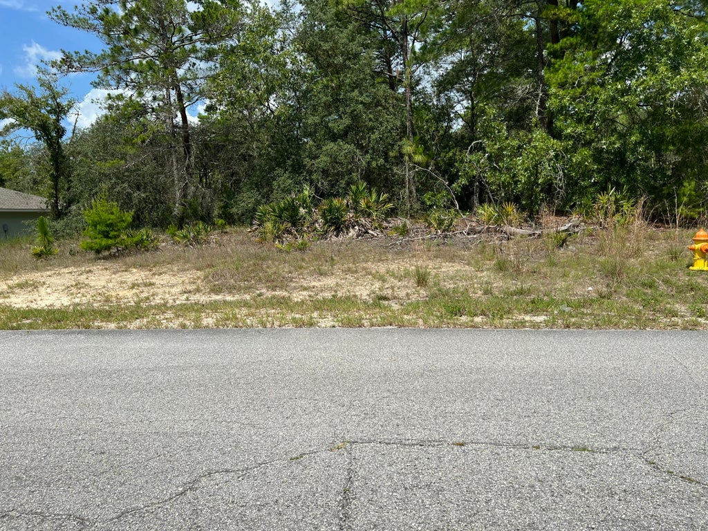 6876 N Sandborn Loop, Citrus Springs