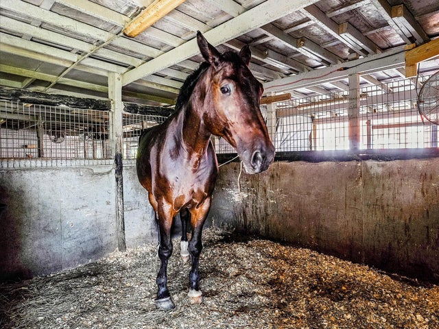 Photo of Listing #RX-11043815